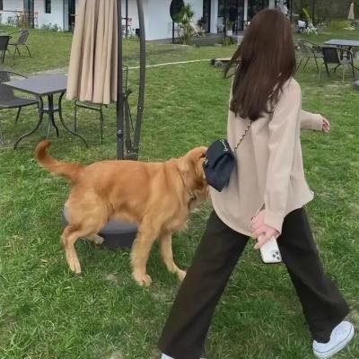 橘子红了
